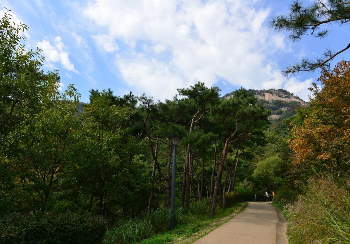 2022.10.21인왕산KakaoTalk_Image_2022-11-02-10-36-50_005.jpeg