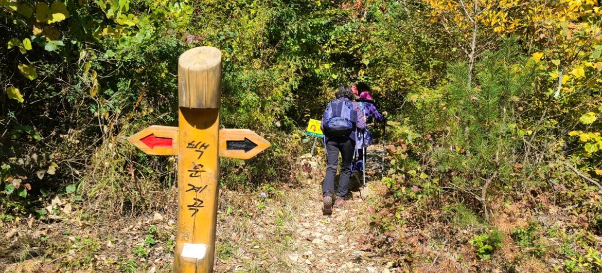 지리산+백운계곡.jpeg