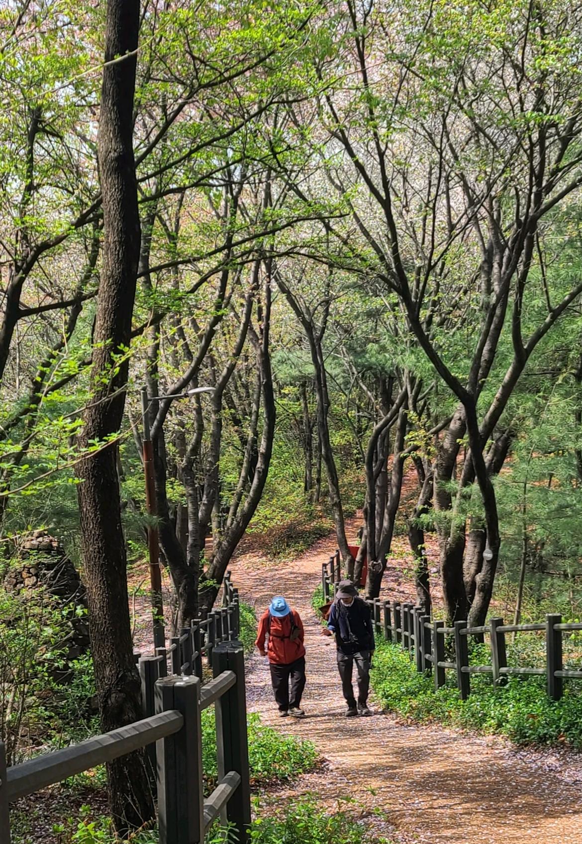 20230407_응봉산4.jpg