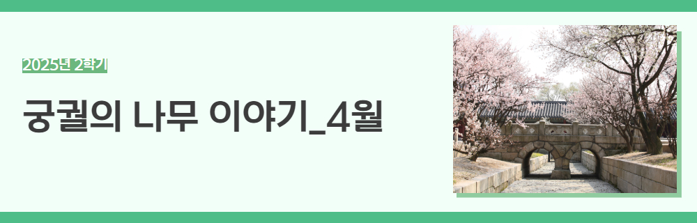 2025년+2학기+인생설계+강좌+제목+4.jpg