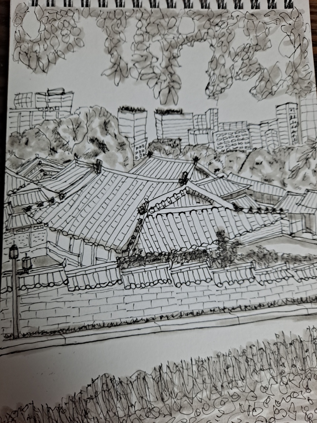 별빛250319-4.jpg