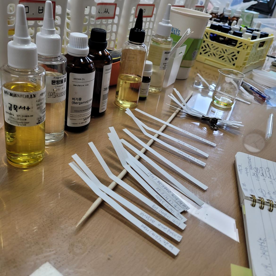 KakaoTalk_20250419_181012100_03.jpg