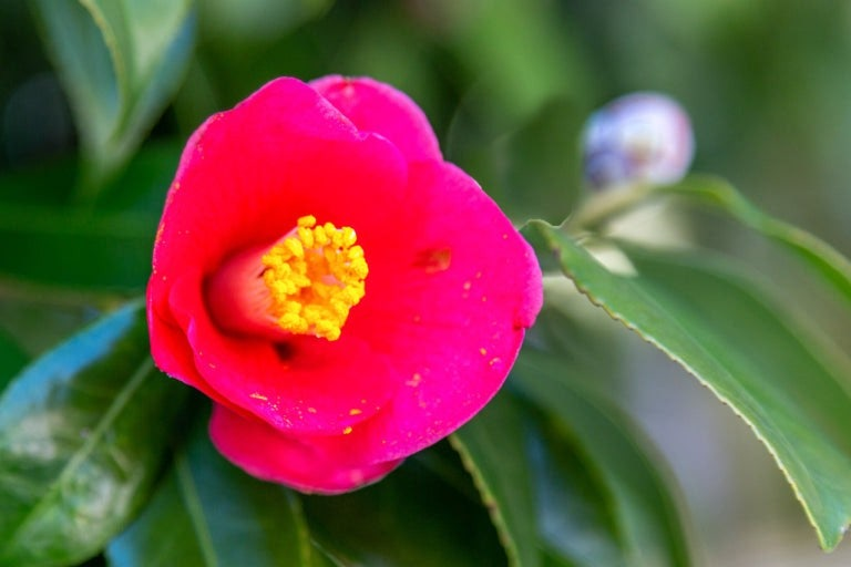 image03.png