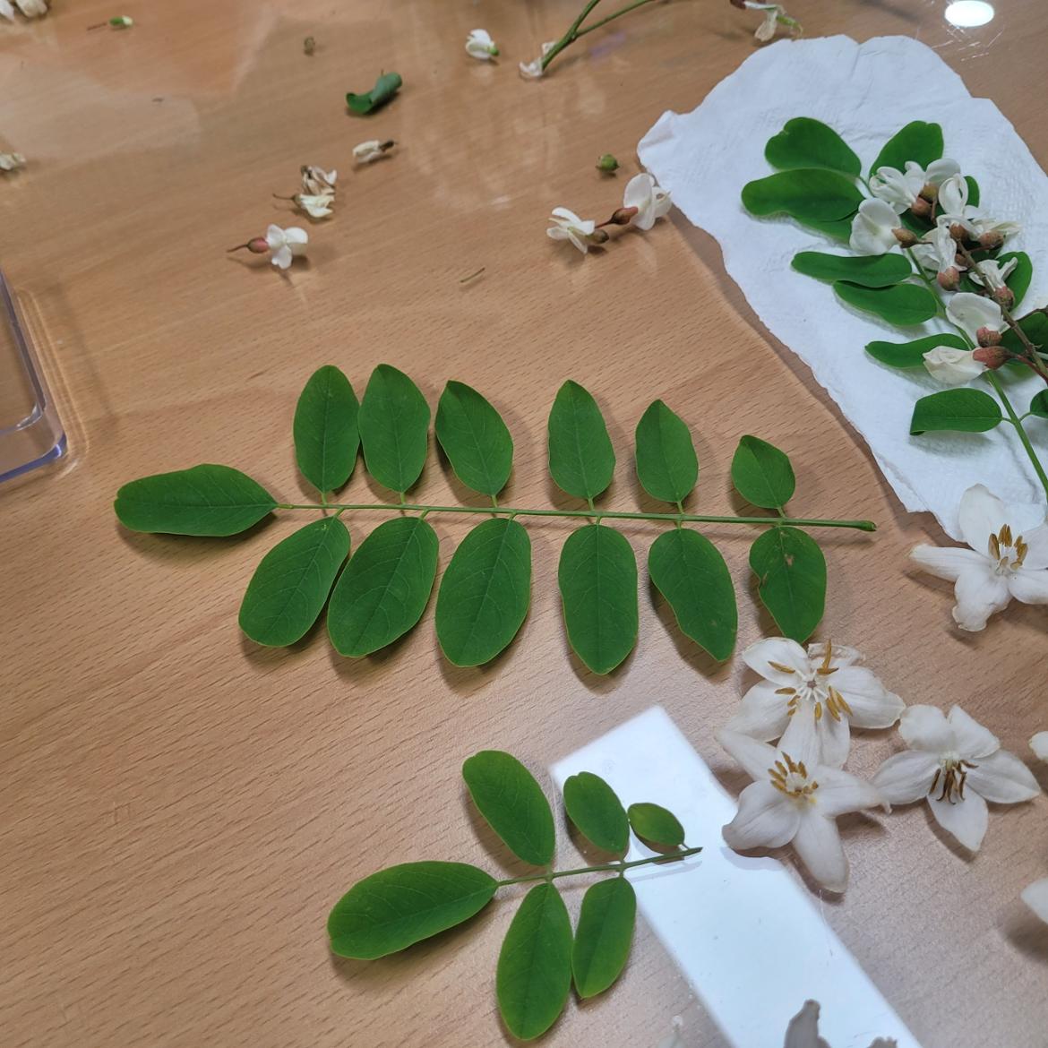 KakaoTalk_20250518_155542709_08+(1).jpg