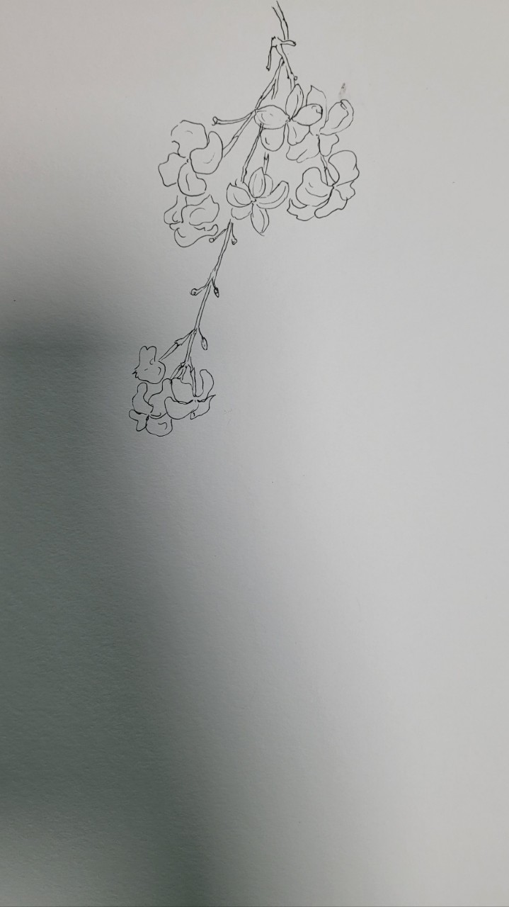 f_113Ud018svc1mepvi2cor3z7_qxluii.jpg