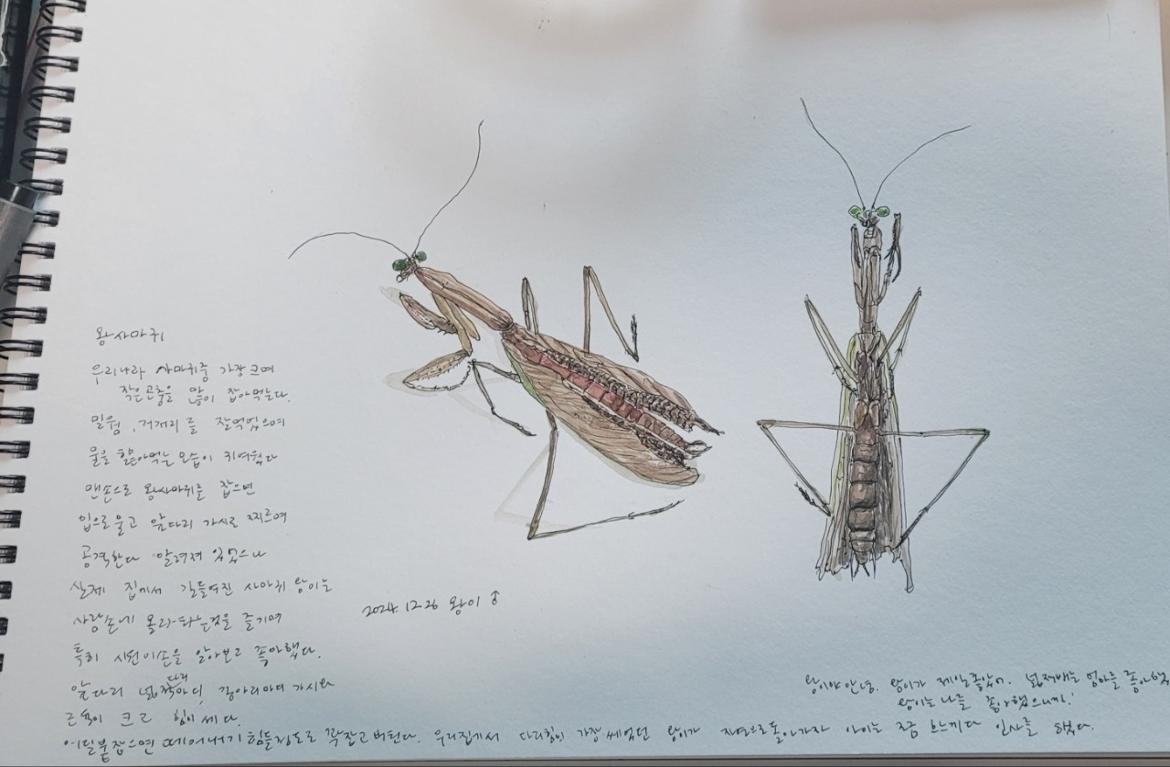 에코드로잉_사진_20241226_2.jpg