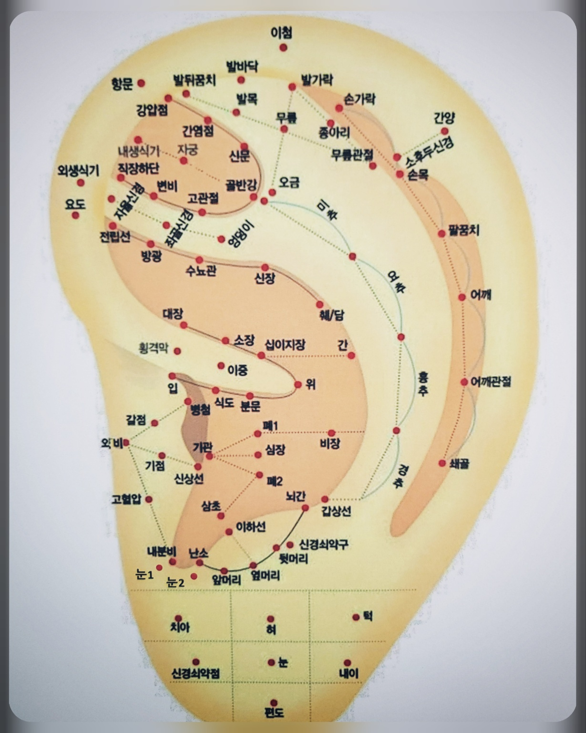 KakaoTalk_20250610_114246178.png