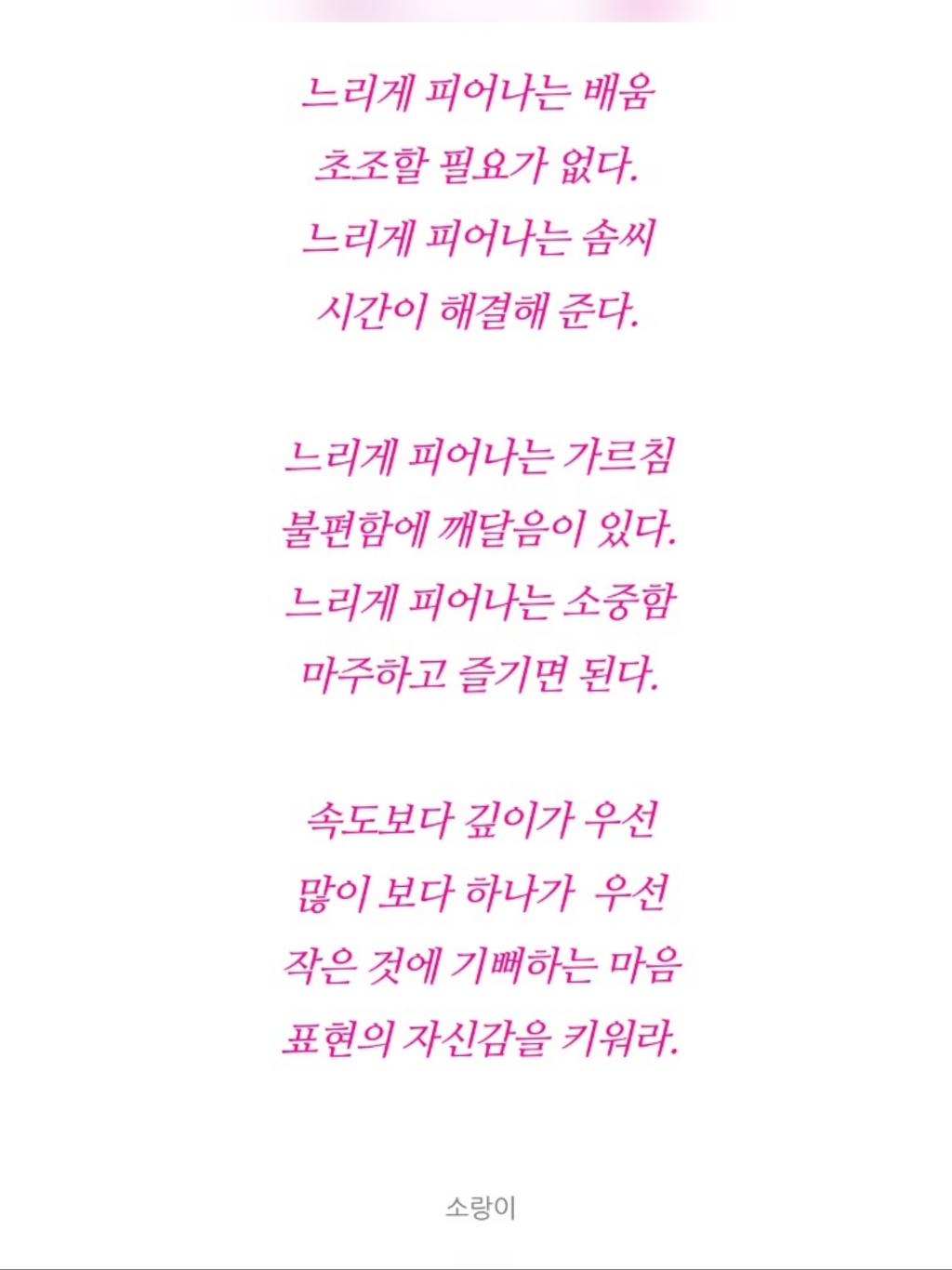 KakaoTalk_20250704_102741836.jpg