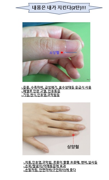 정보지.jpg