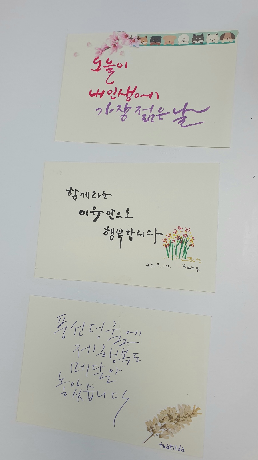 별빛+2025-0910-6.jpeg