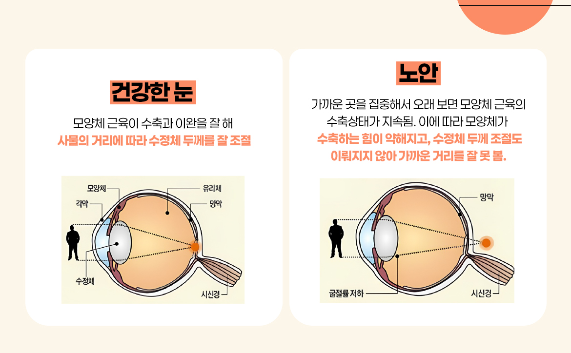 KakaoTalk_20250912_111235702_01.jpg