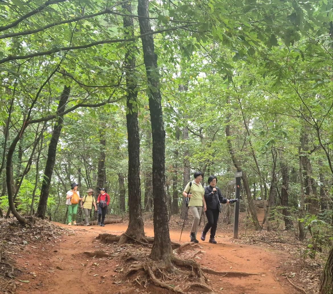 KakaoTalk_20251003_031402764_01.jpg