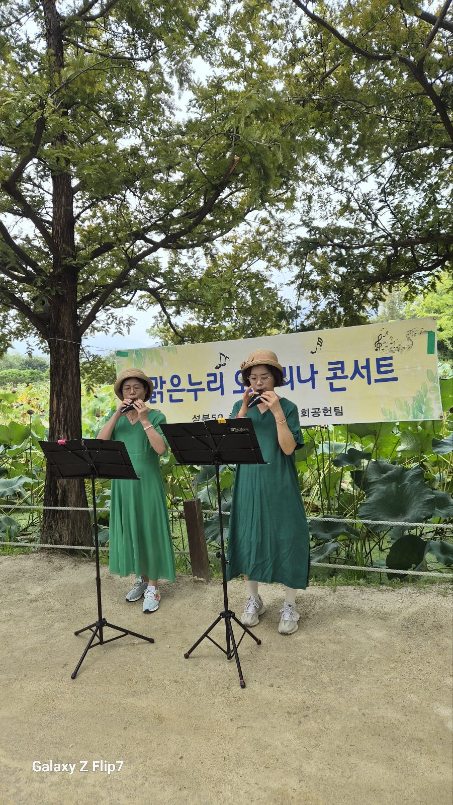 세미원5.jpg
