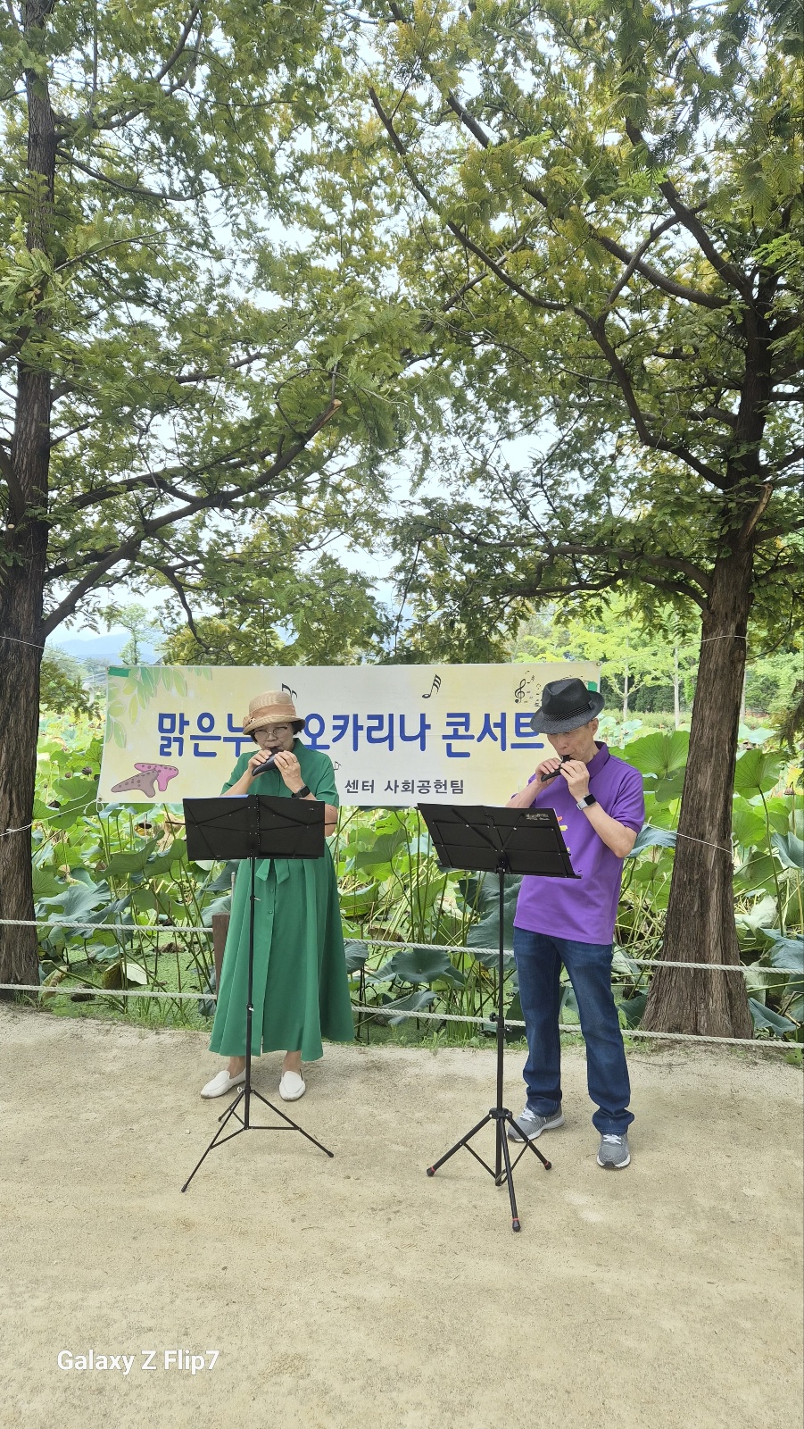 세미원6.jpg