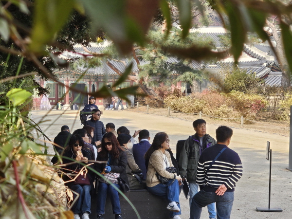 [크기변환]KakaoTalk_20251113_142642602_05.jpg