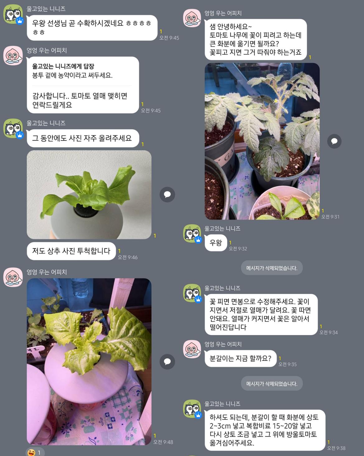 004.jpg