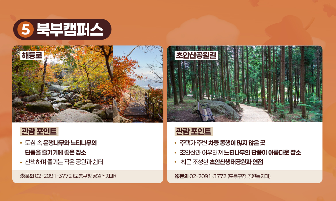 KakaoTalk_20251120_142727656_05.jpg