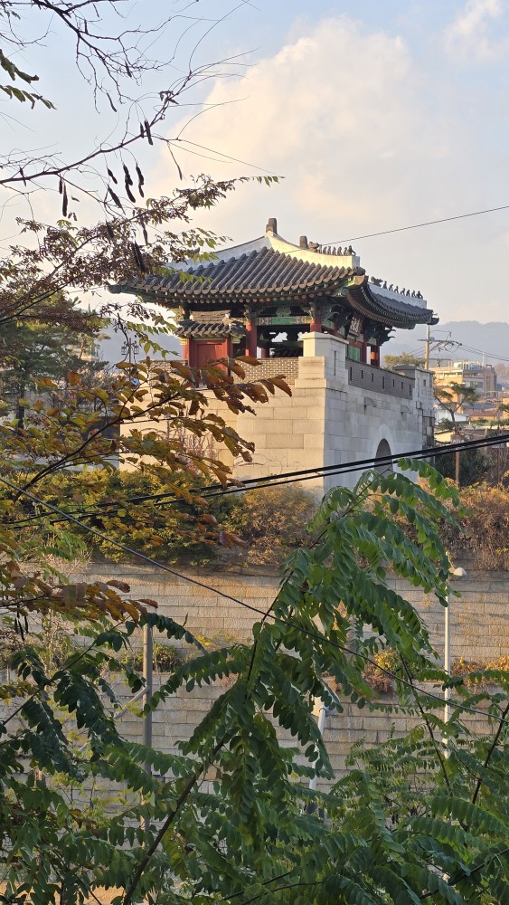 KakaoTalk_20251125_234256245_08.jpg